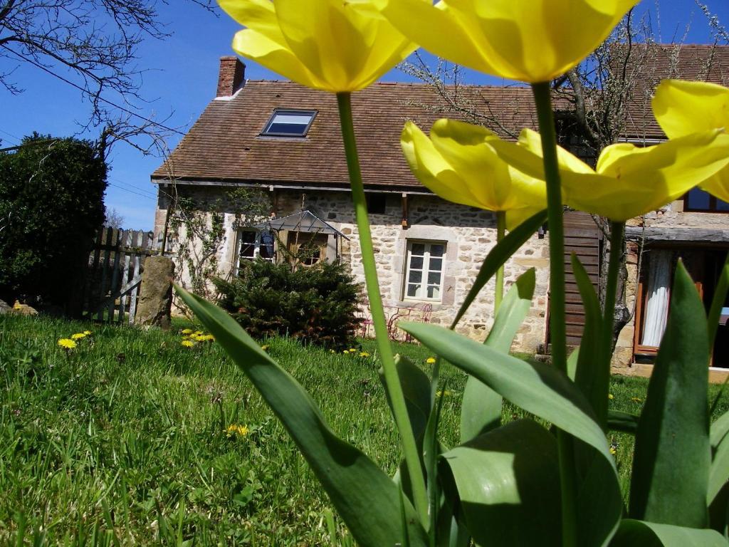 Le Trot'In Chair Bed & Breakfast Martigny-le-Comte Dış mekan fotoğraf