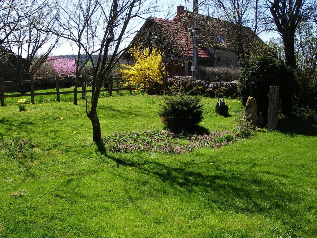 Le Trot'In Chair Bed & Breakfast Martigny-le-Comte Dış mekan fotoğraf